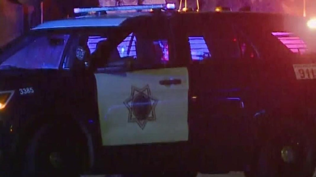 San Jose teens involved in traffic stop that preceded police shooting, attempted carjacking — CBS Bay Area (KPIX), Ross Schools news