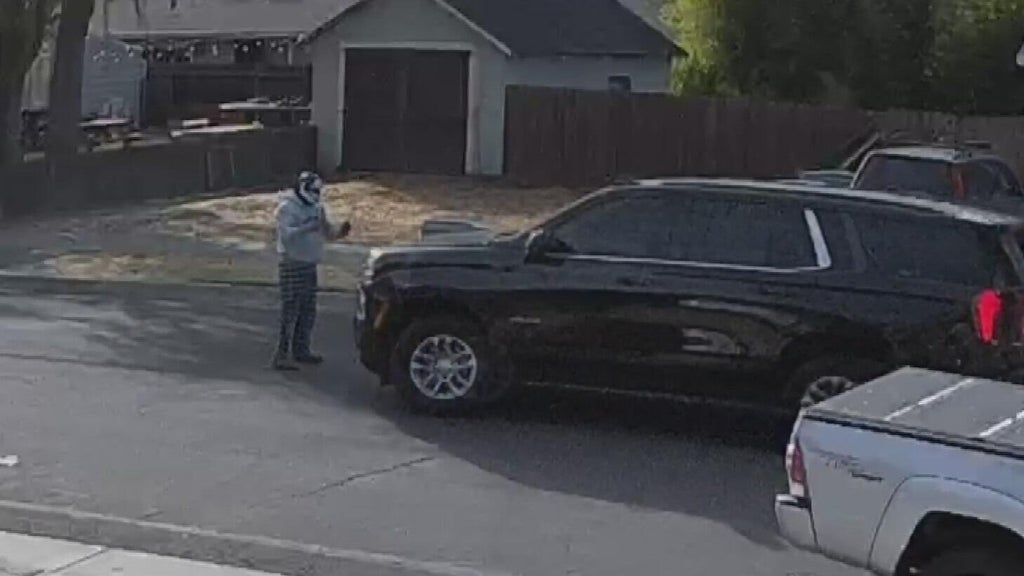 Woodland police dispute DHS account of ICE agent's collision with pedestrian — CBS Bay Area (KPIX), Ross Health news