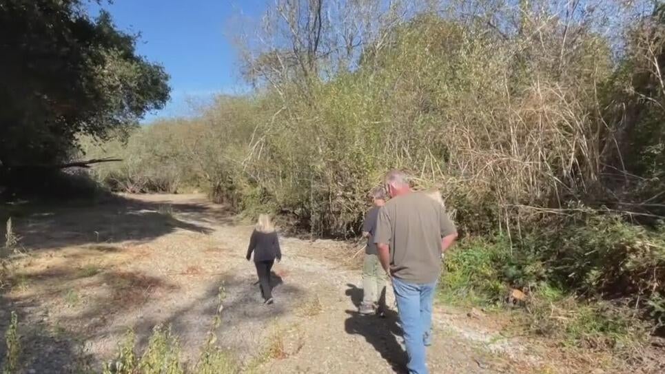 Marin County residents worried town will flood if creek isn't dredged — CBS Bay Area (KPIX), Ross Real Estate news