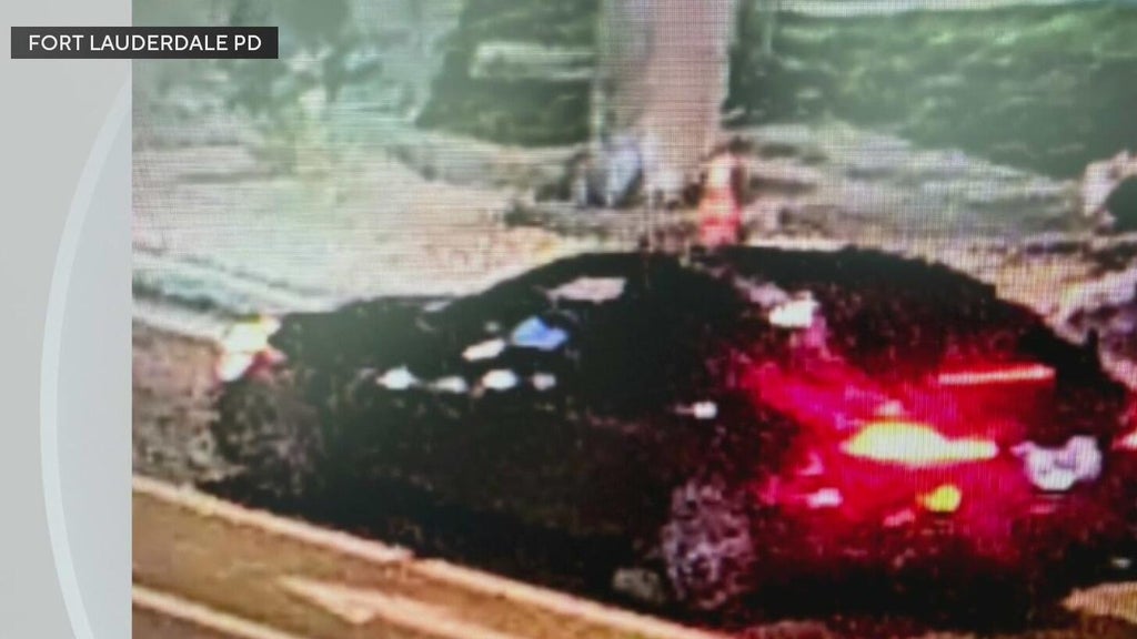 Police seek Mercedes in deadly Fort Lauderdale hit-and-run — CBS Miami, Ross Community news