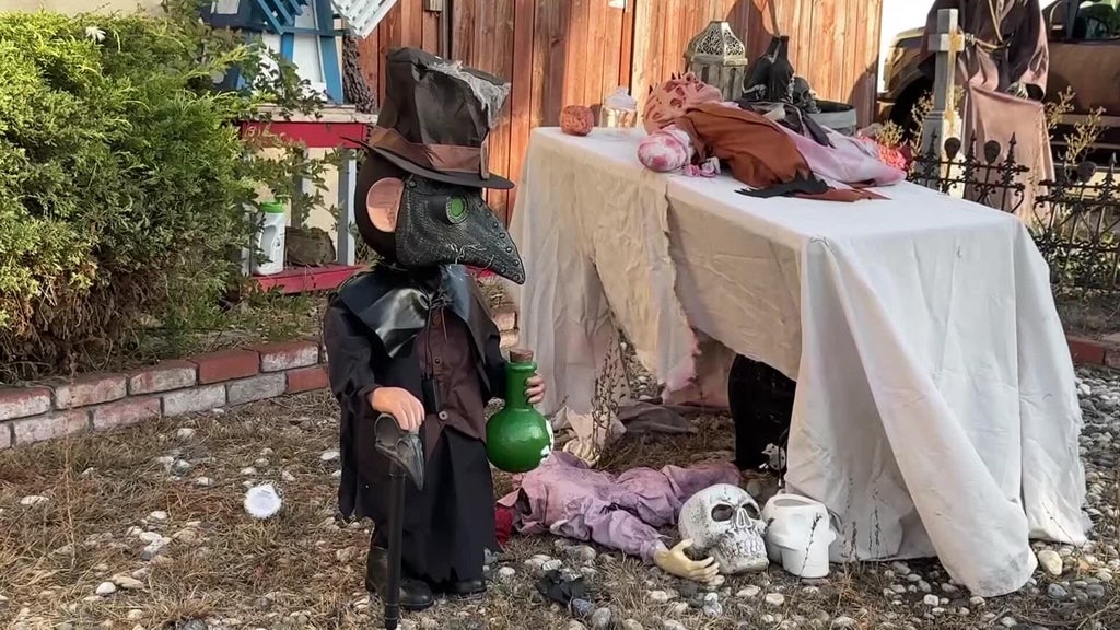 Halloween decorations worth roughly $700 stolen from San Leandro home — CBS Bay Area (KPIX), Ross Schools news