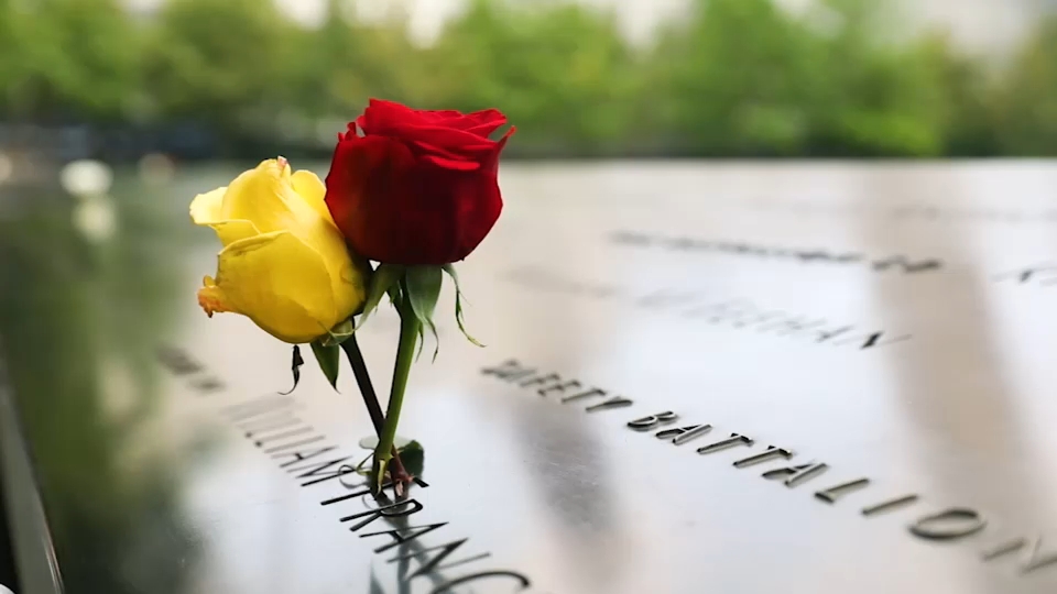 Second 9/11 victim identified with breakthrough genetic genealogy, NYC officials say
— ABC 7 Bay Area, Ross Community news