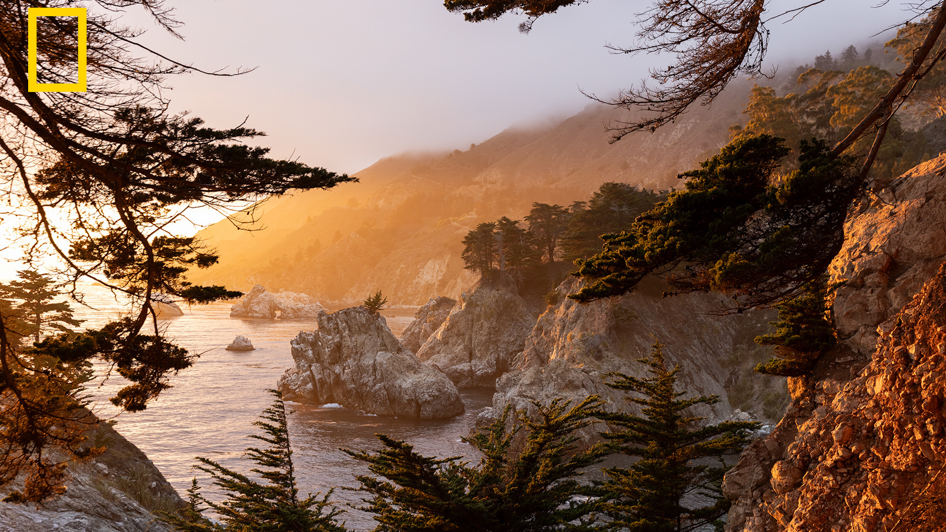 USA destinations included in National Geographic's best places in the world to visit in 2027
       — ABC 7 Bay Area, Ross Community news