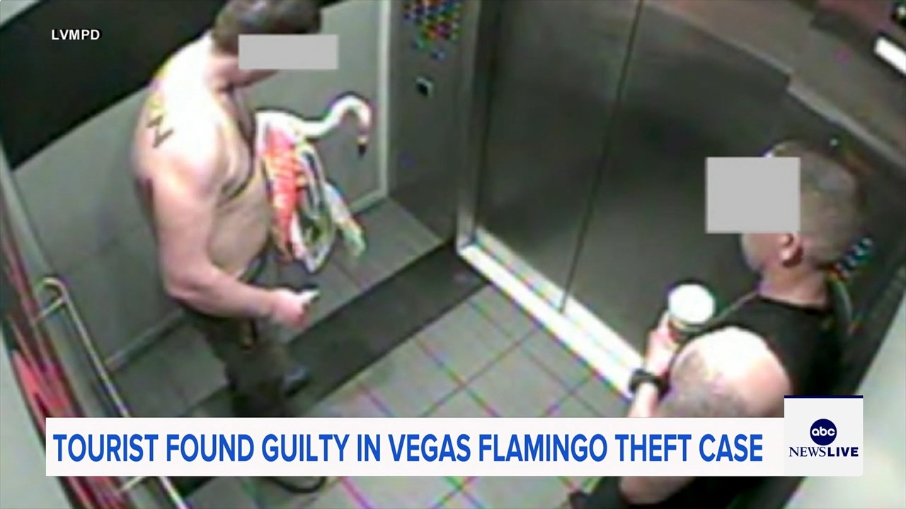 Man who snatched Peachy the flamingo from Las Vegas hotel exhibit found guilty of animal cruelty

       — ABC 7 Bay Area, Ross Arts news
