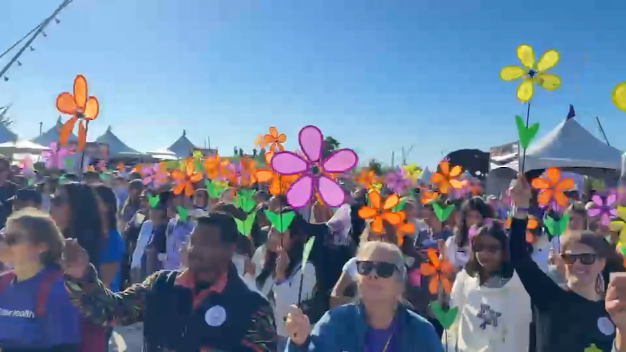 $1.2 million raised as thousands of people participate in 2026 San Francisco Walk to End Alzheimer's
— ABC 7 Bay Area, Ross Community news
