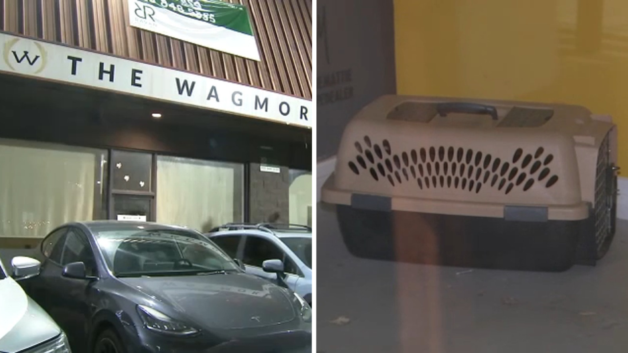 Lawsuit accuses Los Angeles animal rescue of running puppy laundering operation
— Ross Community news