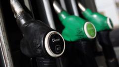 Fuel costs squeezing margins for some businesses — BBC Business, Ross Business news