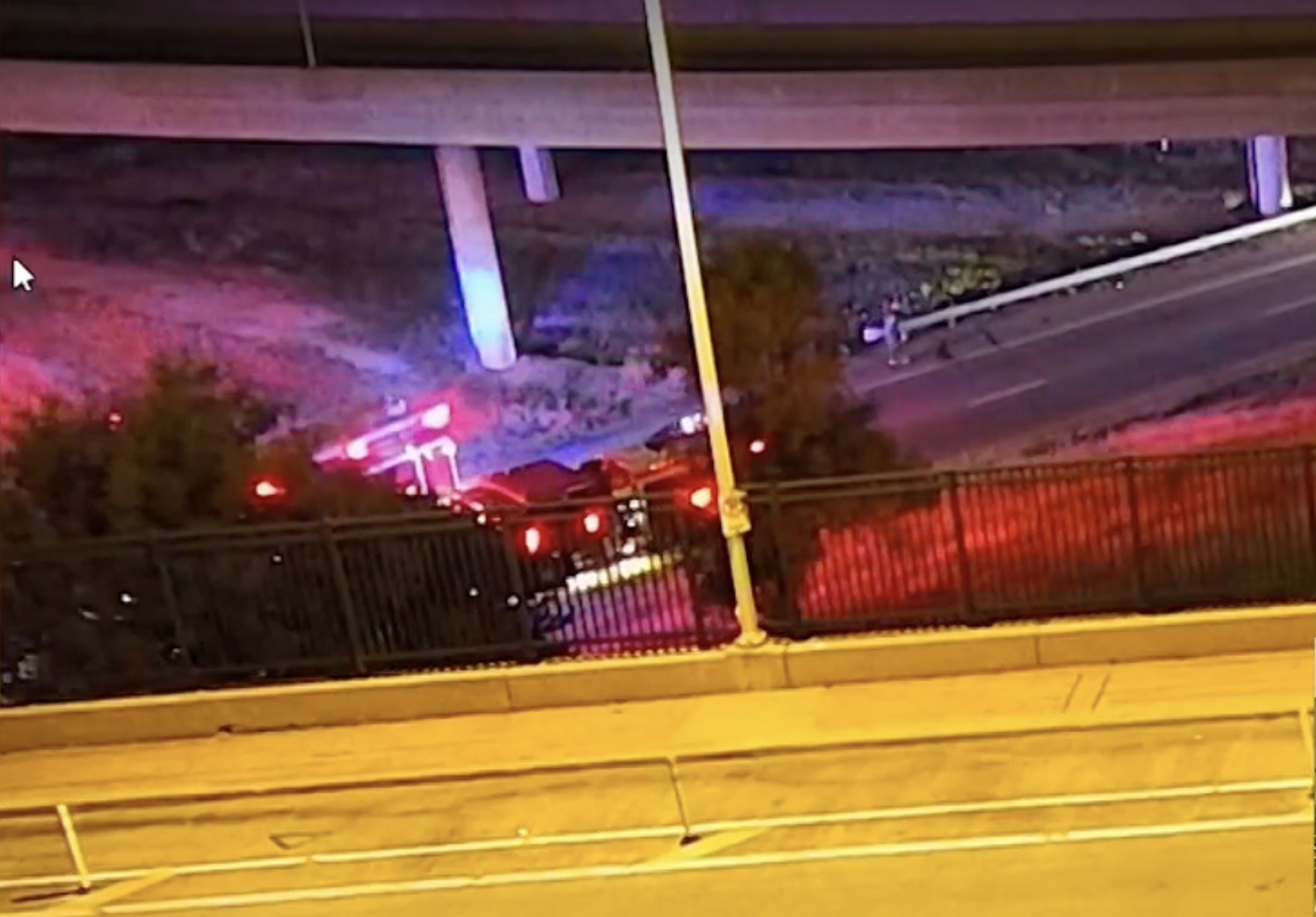 Cows roam downtown Kansas City after truck overturns, killing dozens of them — WESH 2 Orlando