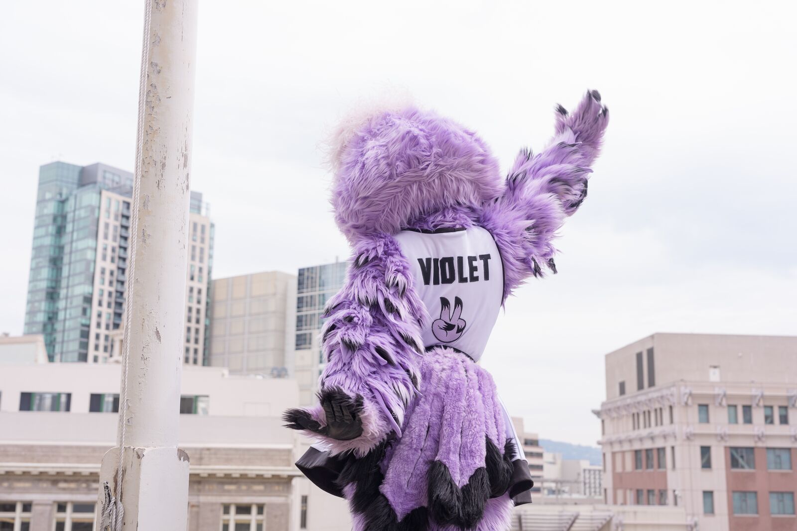 This week in Oakland: an outdoor Valkyries watch party, and singersongwriter Laura Anglade at Yoshi’s — The Oaklandside, Ross Arts news