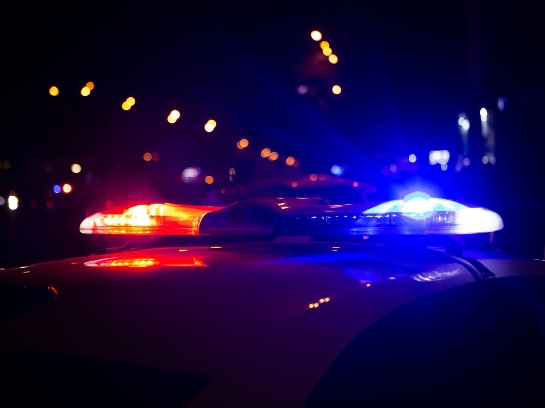 Video Shows Masked Man Stealing Dog From San Rafael Driveway — Novato Patch, Ross Community news