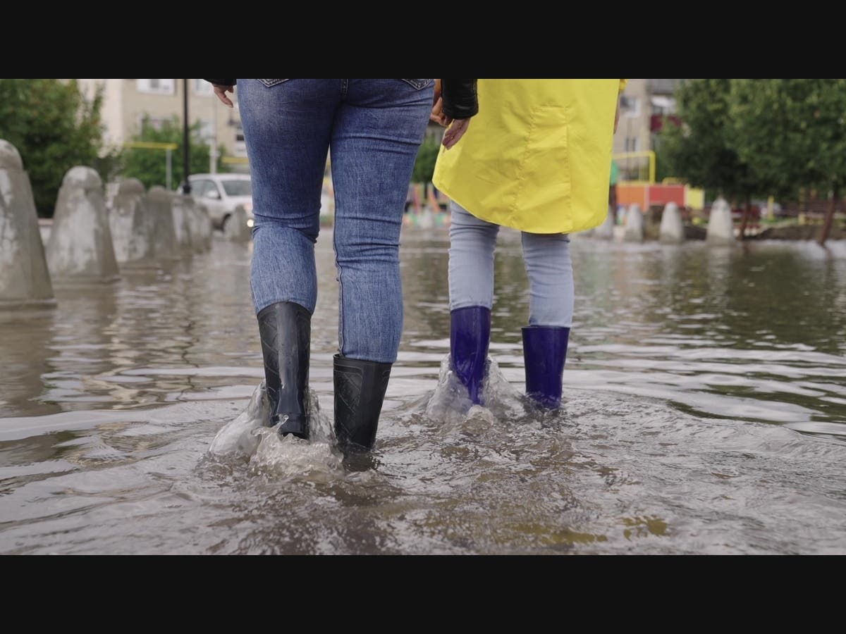 Officials Have A New Plan To Tackle Winter Flooding In Marin County — Novato Patch, Ross Community news