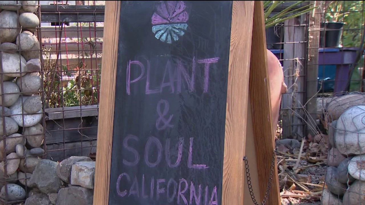 San Jose community garden faces possible eviction — KTVU FOX 2 Bay Area, Ross Schools news