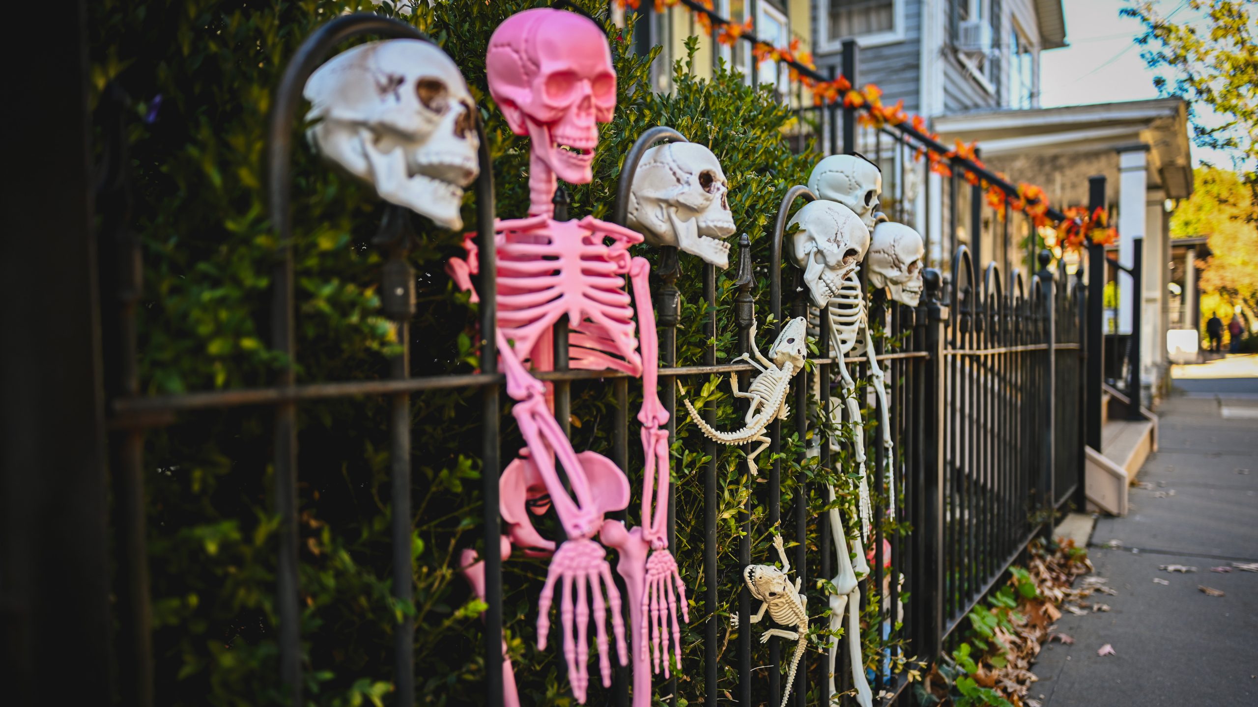 America's best cities for Halloween, ranked — KTVU FOX 2 Bay Area, Ross Community news